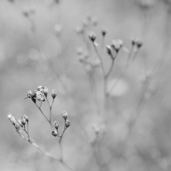 Minimalisme